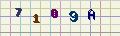 visual captcha